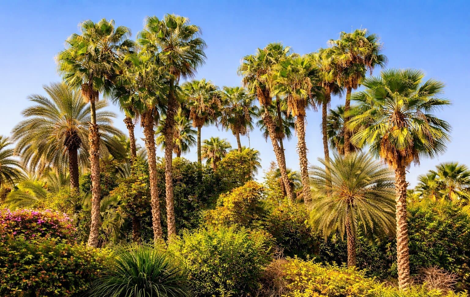 Garden view with palm trees facing Jardin Majorelle — Majorelle Balcony Apartment